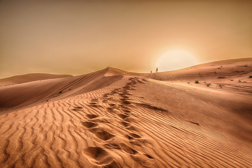 weird desert phenomena